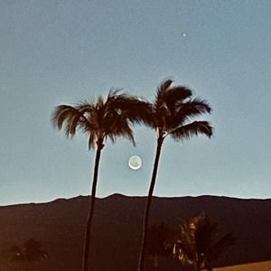 Meet your Posher, Scott